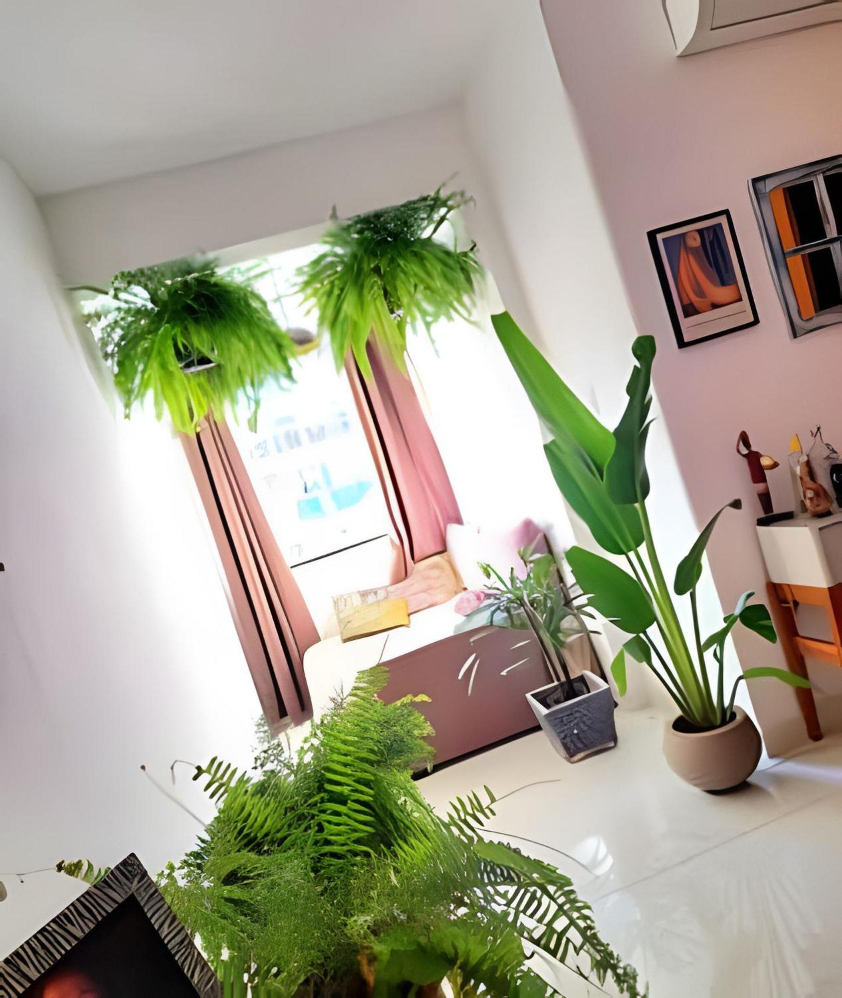 Deluxe Double Room Balcony